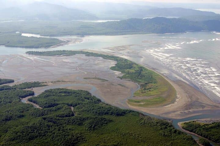 Ultralight Pacific Coast Scenic Flight Over Uvita — Whale Tail & Wildlife Views photo 4