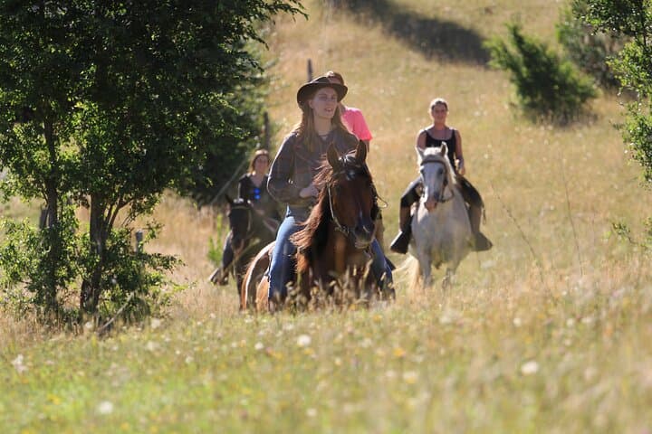 Pucon Horseback Trailride: Volcano Views Along the Liucura River photo 6