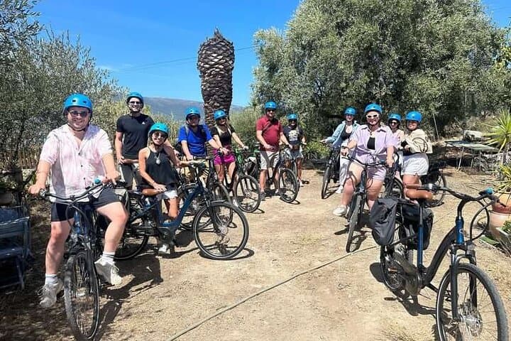 E-Bike Tour of Nice's Organic Vineyards: Bellet Winery Ride & Picnic photo 4