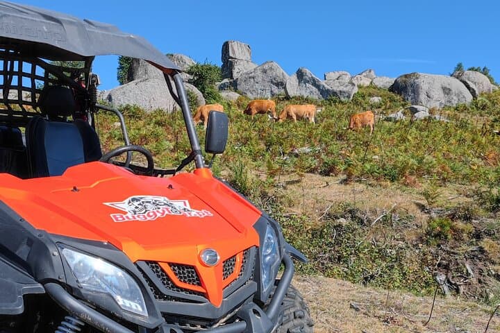 Corno do Bico Buggy Adventure: Northern Portugal Off-Road Tour photo 2