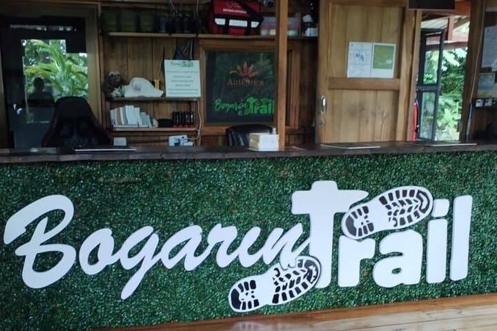Bogarin Trail Sloth Guided Tour – La Fortuna Rainforest Walk & Wildlife Viewing photo 3