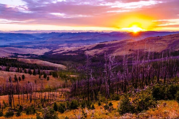 Exploring Yellowstone and Las Vegas: A 7-Day Adventure from Salt Lake City photo 6