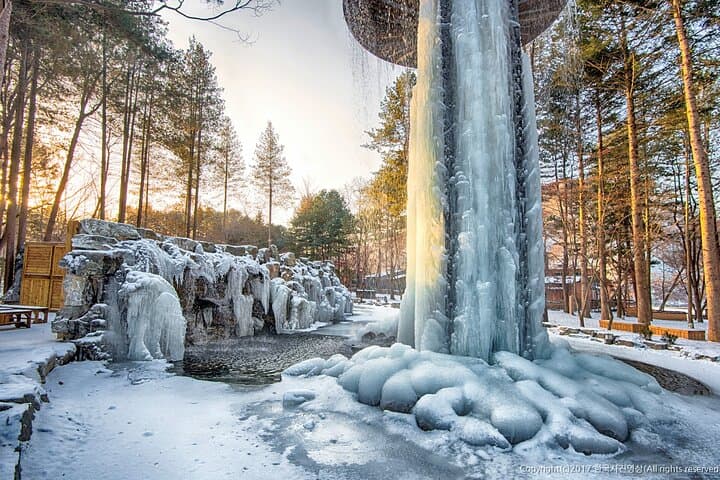 Nami Island & Elysian Gangchon Full-Day Private Tour — Seoul Snow, Scenery & Ski photo 3