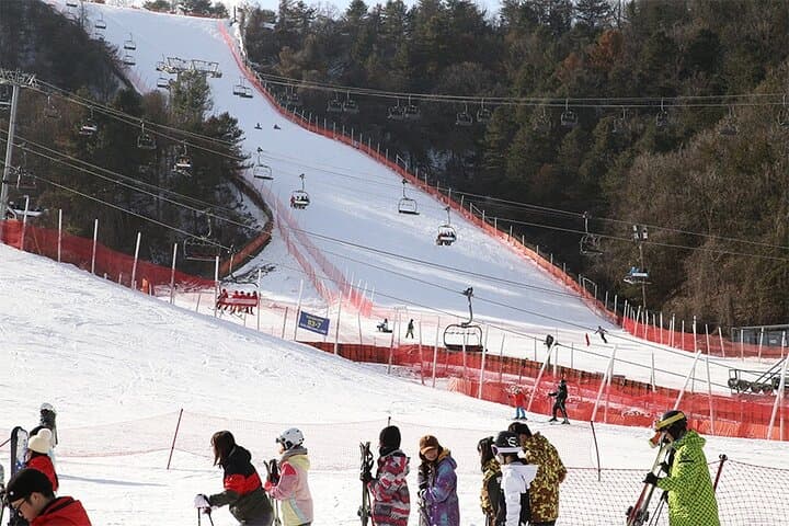 Nami Island & Elysian Gangchon Full-Day Private Tour — Seoul Snow, Scenery & Ski photo 1