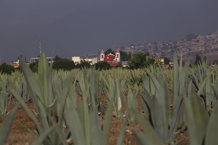 Ride and Taste: Mezcal Culture Cycling Tour in a Zapotec Village
