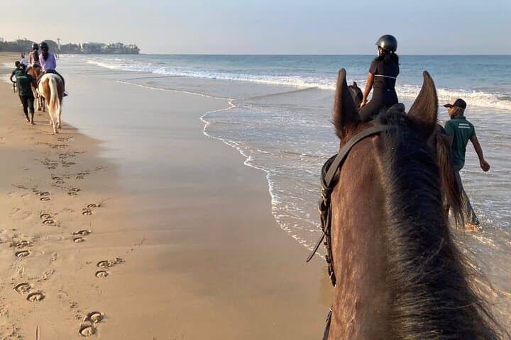 Private Beach Horse Ride in Port City Colombo: Sunset & Sunrise Rides