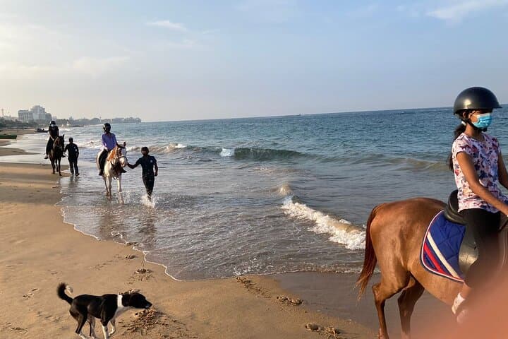 Private Beach Horse Ride in Port City Colombo: Sunset & Sunrise Rides photo 2