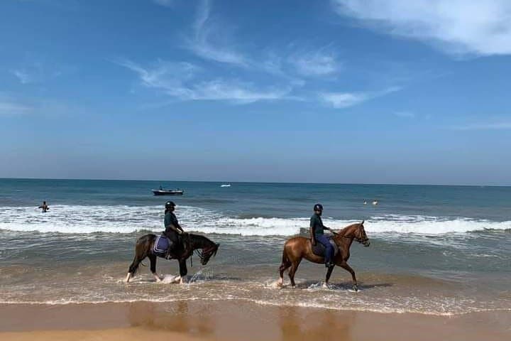 Private Beach Horse Ride in Port City Colombo: Sunset & Sunrise Rides photo 6