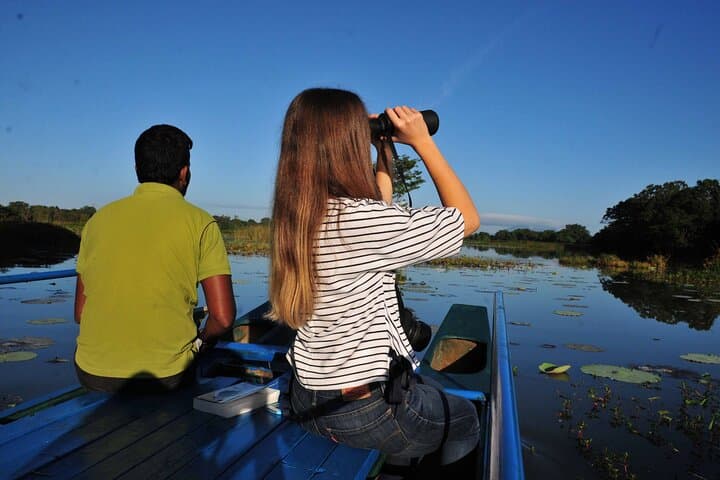 Sigiriya Scenic Boat Ride and Village Breakfast — Lake Tour & Birdwatching
