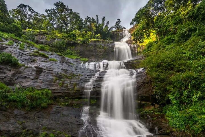 Kerala in Three Nights: Munnar Tea Hills & Alleppey Houseboat Private Package photo 4