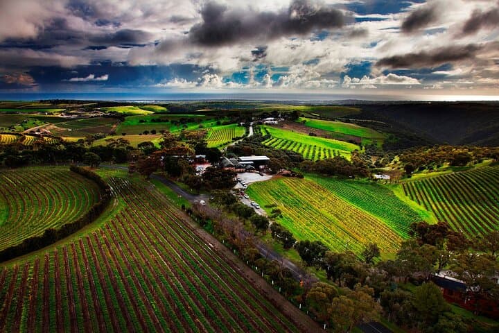 Rojina's Fleurieu Private Wine, Beer & Gin Tasting Tour — McLaren Vale Day Trip