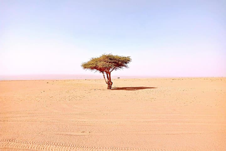 5-Day Marrakech to Erg Chigaga Desert Tour — Camel Treks, Luxury Camps & Draa Valley photo 4