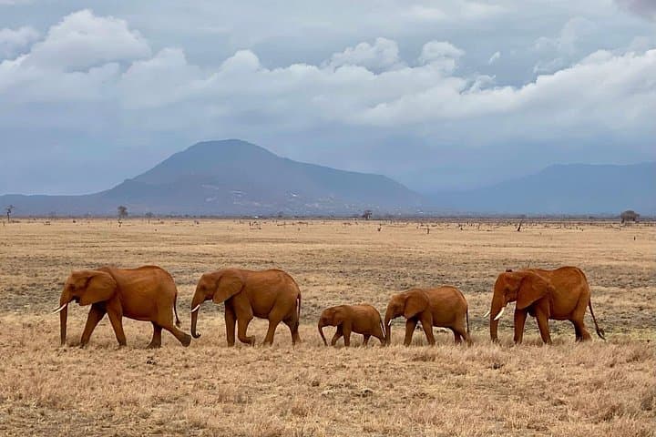 Private 4-Day Safari: Tsavo East, Tsavo West & Amboseli from Nairobi photo 2