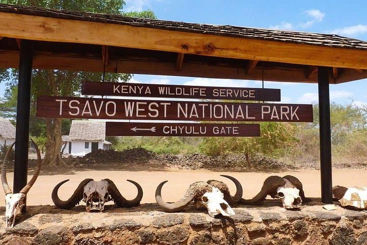 Private 4-Day Safari: Tsavo East, Tsavo West & Amboseli from Nairobi photo 4