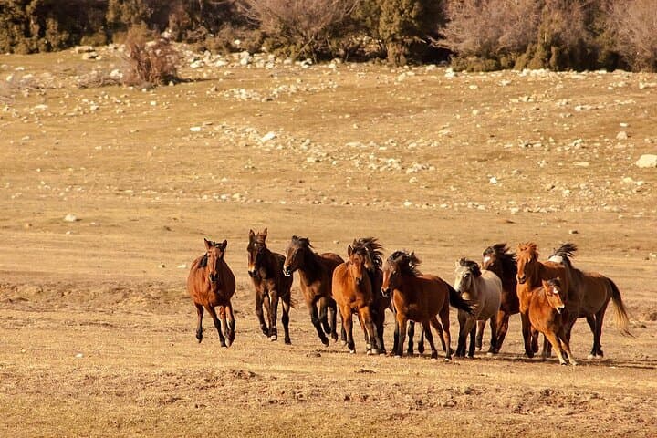Private Tour to Ormana & Altınbeşik Cave from Side — Day Trip with Lunch photo 5