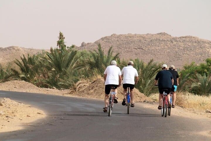 Luxor by Bike: 2-Hour Private City Tour with Fresh Juice photo 6