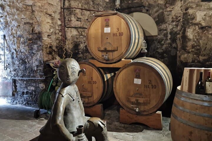 Montepulciano Wine Day: Private Tasting Tour from Rome