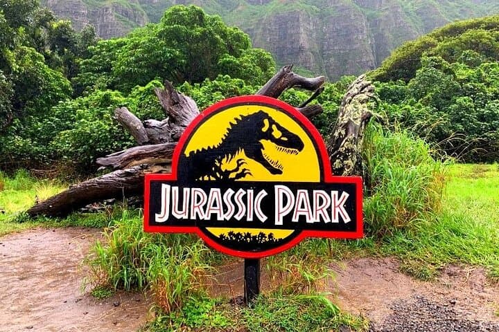 Private Oahu VIP Island Tour: Dole Plantation, North Shore & Kualoa Ranch photo 3
