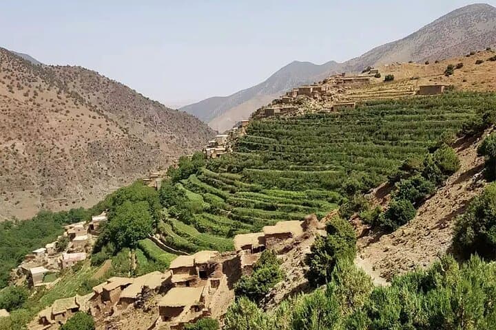 Atlas Mountains Day Trip from Marrakech: Imlil, Argan Cooperatives & Berber Lunch photo 3
