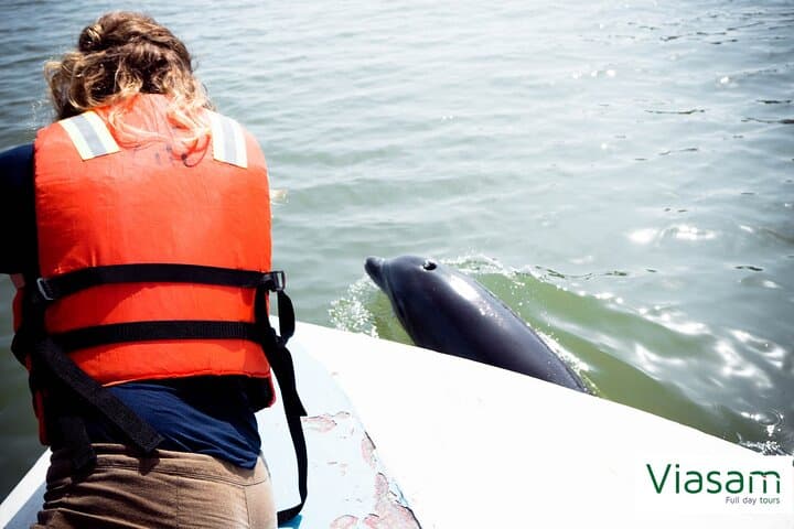 Full-Day Mangrove, Dolphin & Bird Watching Tour from Guayaquil