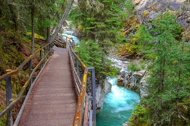 Private Banff Day Tour: Lake Louise, Moraine Lake, Peyto & Icefields Parkway Sights photo 2