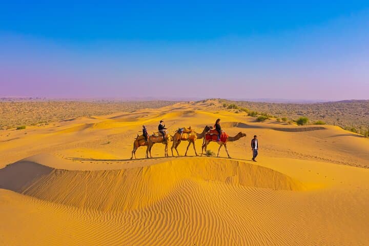 Overnight Camel Safari in Jaisalmer: Non-Touristic Thar Desert Experience