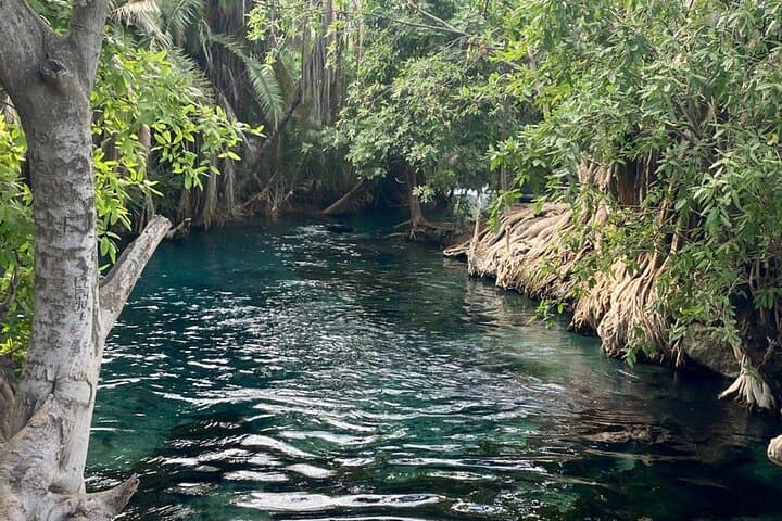 Materuni Waterfalls & Chemka (Kikuletwa) Hot Springs Day Tour from Arusha photo 3