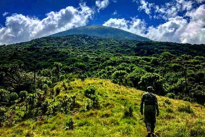6-Day Rwanda Primates & Wildlife Experience — Gorilla Trekking, Akagera Safari & Golden Monkeys photo 3