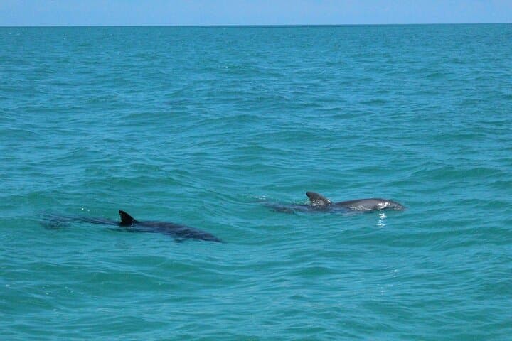 Day Trip from Miami to Key West: Dolphin Watching, Reef Snorkel & Jet Ski Adventure photo 3