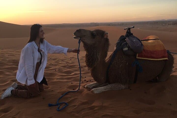 2-Day Luxury Sahara Desert Tour from Fes: Erg Chebbi, Camel Trek & Luxury Camp photo 6