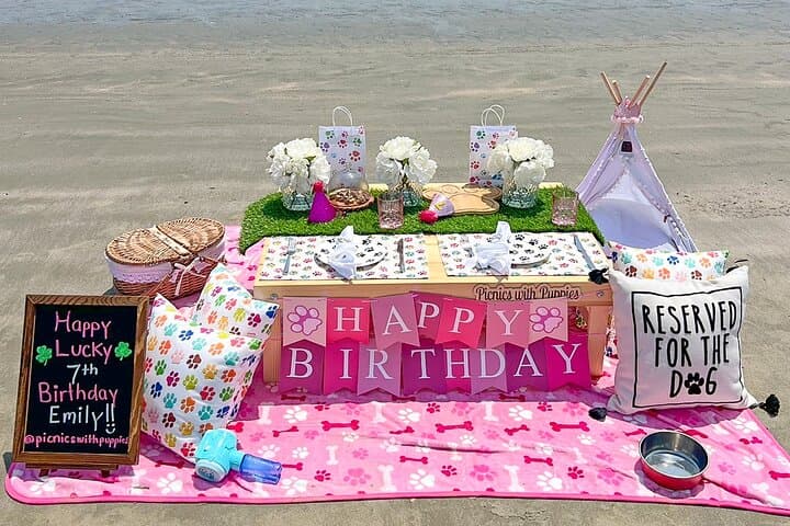 Luxury Themed Picnics in Charleston — Private Curated Outdoor Meals photo 2