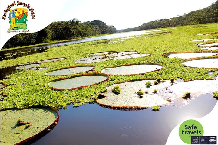 4-Day Amazon Wildlife Camping in Pacaya Samiria: Nauta to Iquitos Jungle Expedition photo 2