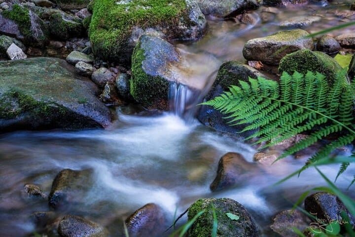 Romantic Black Forest Highlights & Brewery Tour from Frankfurt photo 3