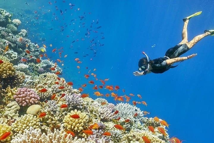Snorkeling Orange Bay, Hurghada — Red Sea Boat Trip & Coral Reefs photo 3
