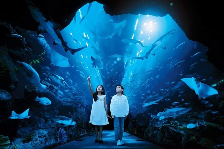 Inside Dubai Aquarium & Underwater Zoo — Full Access Visitor Guide photo 4