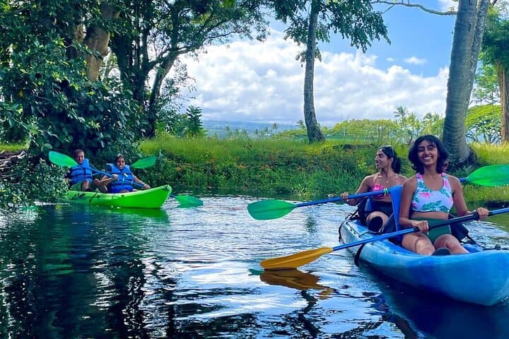 Explore Historic Hilo Bay and Coconut Island: A Guided Kayak Adventure in Hawaii