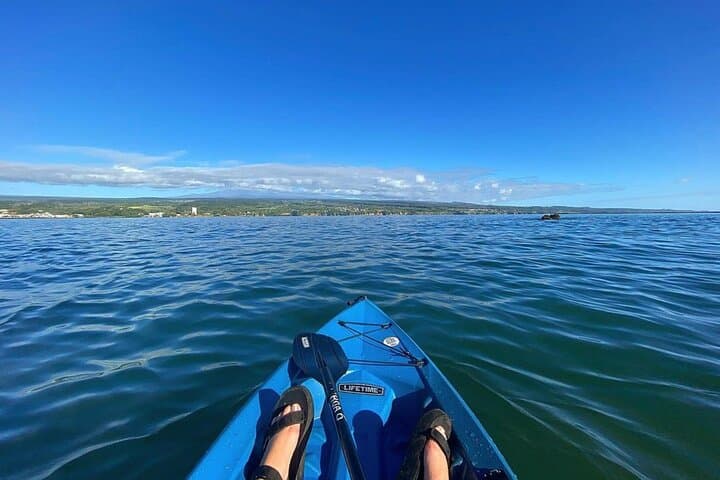 Explore Historic Hilo Bay and Coconut Island: A Guided Kayak Adventure in Hawaii photo 3