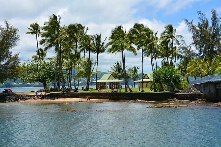 Explore Historic Hilo Bay and Coconut Island: A Guided Kayak Adventure in Hawaii photo 5