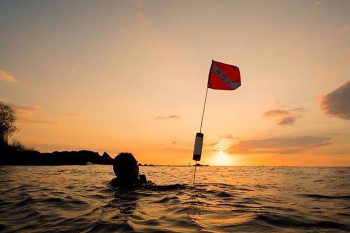 Certified Beach Night Dive in Hilo — Guided Moonlit SCUBA Adventure