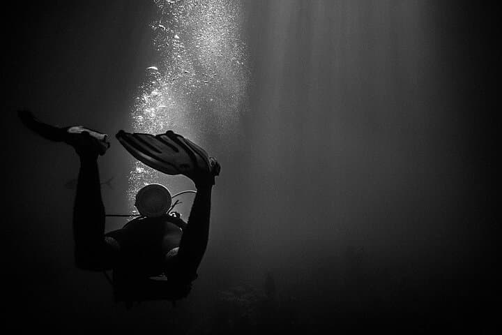 Certified Beach Night Dive in Hilo — Guided Moonlit SCUBA Adventure photo 2