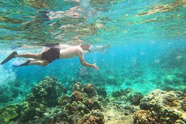 Snorkel Richardson Ocean Park: Turtles and the Black Sand Lagoon Near Hilo