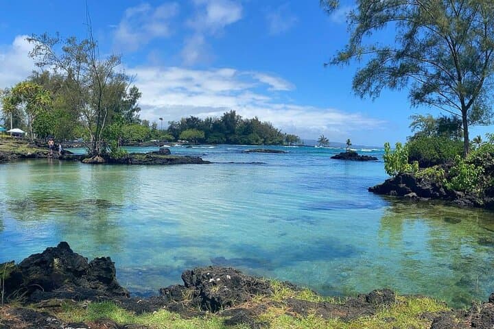 Two-Tank Shore Dive at Sea Turtle Cove — Hilo Guided Scuba Adventure photo 5