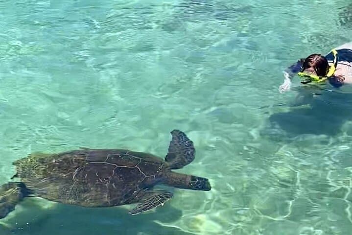 Snorkel Richardson Ocean Park: Turtles and the Black Sand Lagoon Near Hilo photo 3