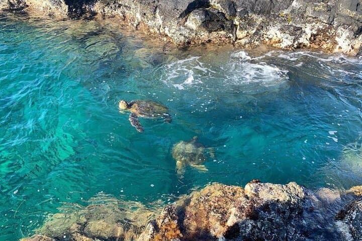 Snorkel Richardson Ocean Park: Turtles and the Black Sand Lagoon Near Hilo photo 2