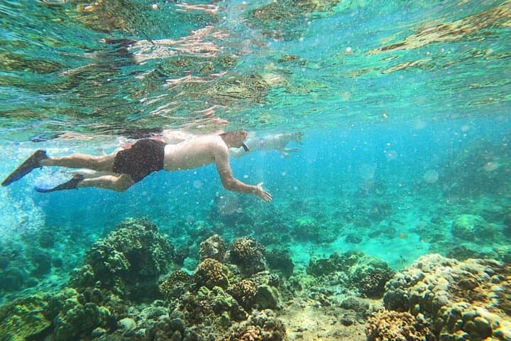 Hilo Zodiac Dolphin & Tropical Reef Snorkel Adventure photo 3