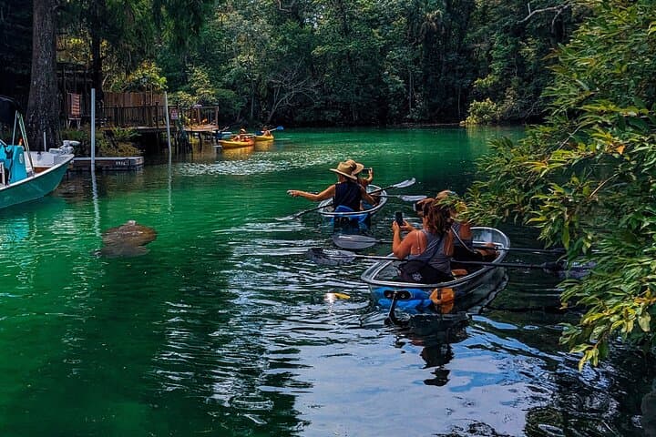 Clear Kayak Manatee Tours on Weeki Wachee River — Winter Wildlife Paddle photo 6