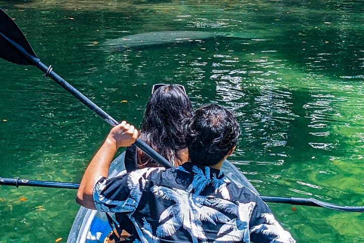 Clear Kayak Manatee Tours on Weeki Wachee River — Winter Wildlife Paddle photo 4