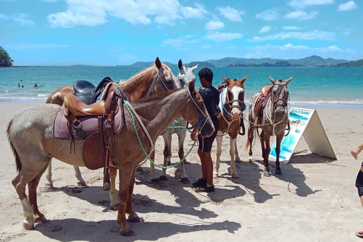 Private Horseback Tour on Playa Conchal: Beach Ride & Sunset in Guanacaste photo 3