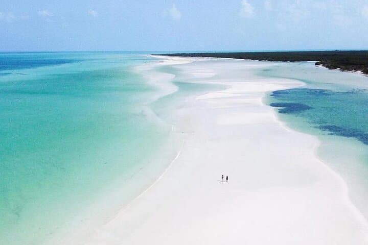 Day Trip to Isla Holbox: Holbox Island, Yalahau Cenote & Isla Pasion from Cancun