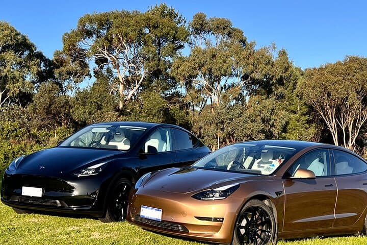 Rojina's Fleurieu Private Wine, Beer & Gin Tasting Tour — McLaren Vale Day Trip photo 3